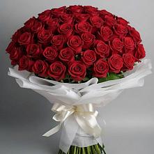 Букет 101 Красная роза Блэк Мэджик в Калужской Краснодарский край