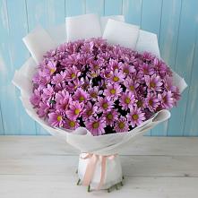 Букет цветов из:  Хризантемы в Калужской Краснодарский край