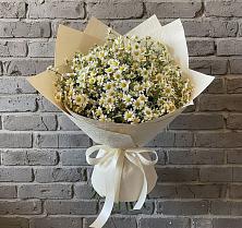 Букет цветов из:  Ромашки в Калужской Краснодарский край