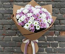 Букет цветов из:  Хризантемы #REPLACE_PRED# Калужской Краснодарский край