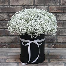 Цветочная композиция из Гипсофила в шляпной коробке в Калужской Краснодарский край
