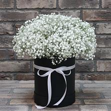 Цветочная композиция из Гипсофила в шляпной коробке в Калужской Краснодарский край