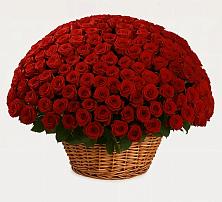 Премиум букет из: Розы в Калужской Краснодарский край